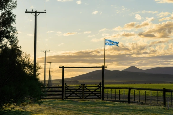 argentine-flag-waving-gate-field-600nw-2479157283