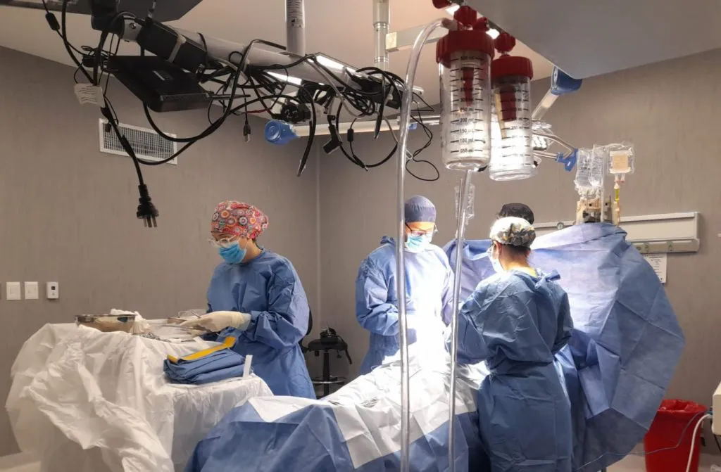 donacion-de-organos2