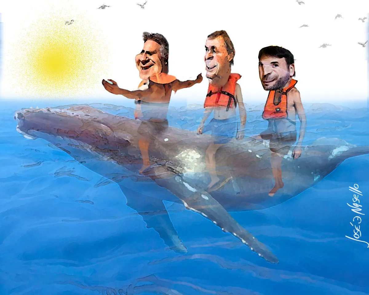 ilustra-torres-schiaretti-y-llamosas-arriba-ballena