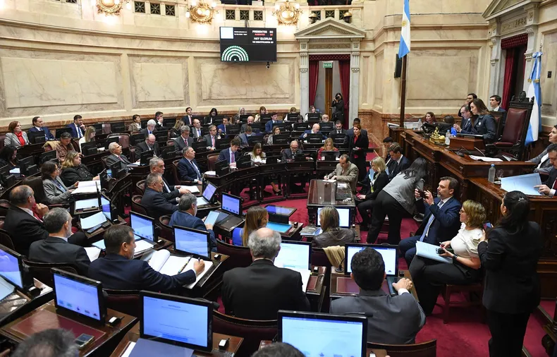 senado-la-nacion-argentina-debate-ley-omnibusjpg