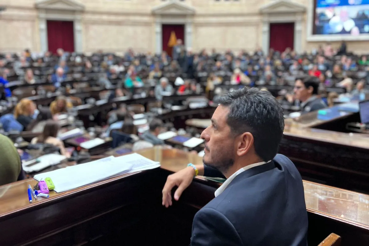 ferrer-senado