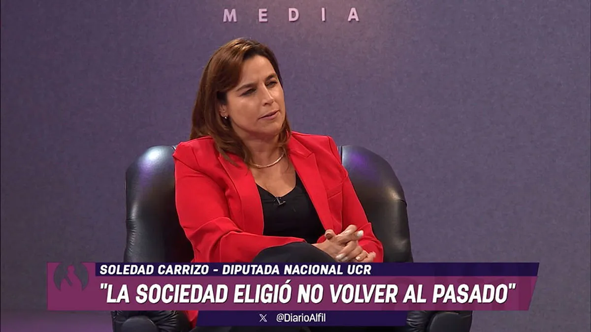 ALFIL-tv-carruzi