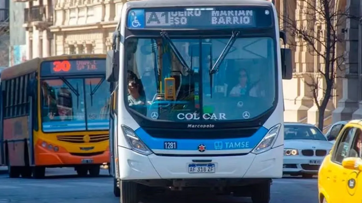 colectivo-cba-3pjpg