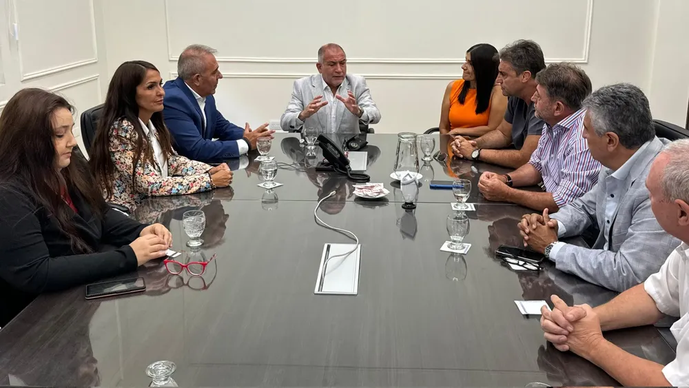 juez tribunal de cuentas