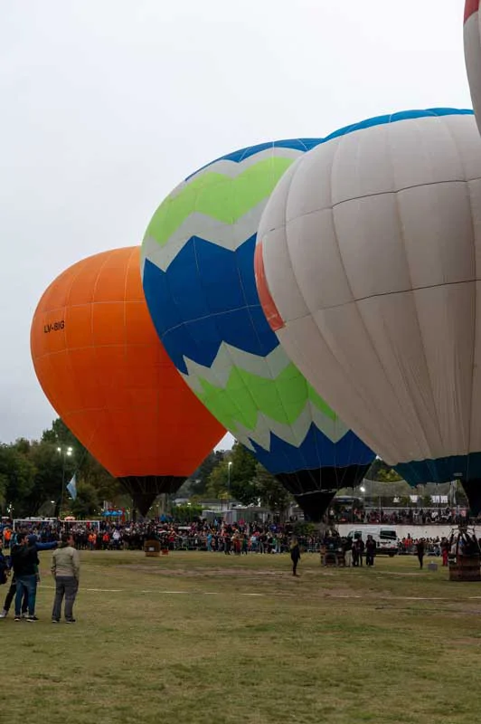 18-03-(2)-(1)-ceballos