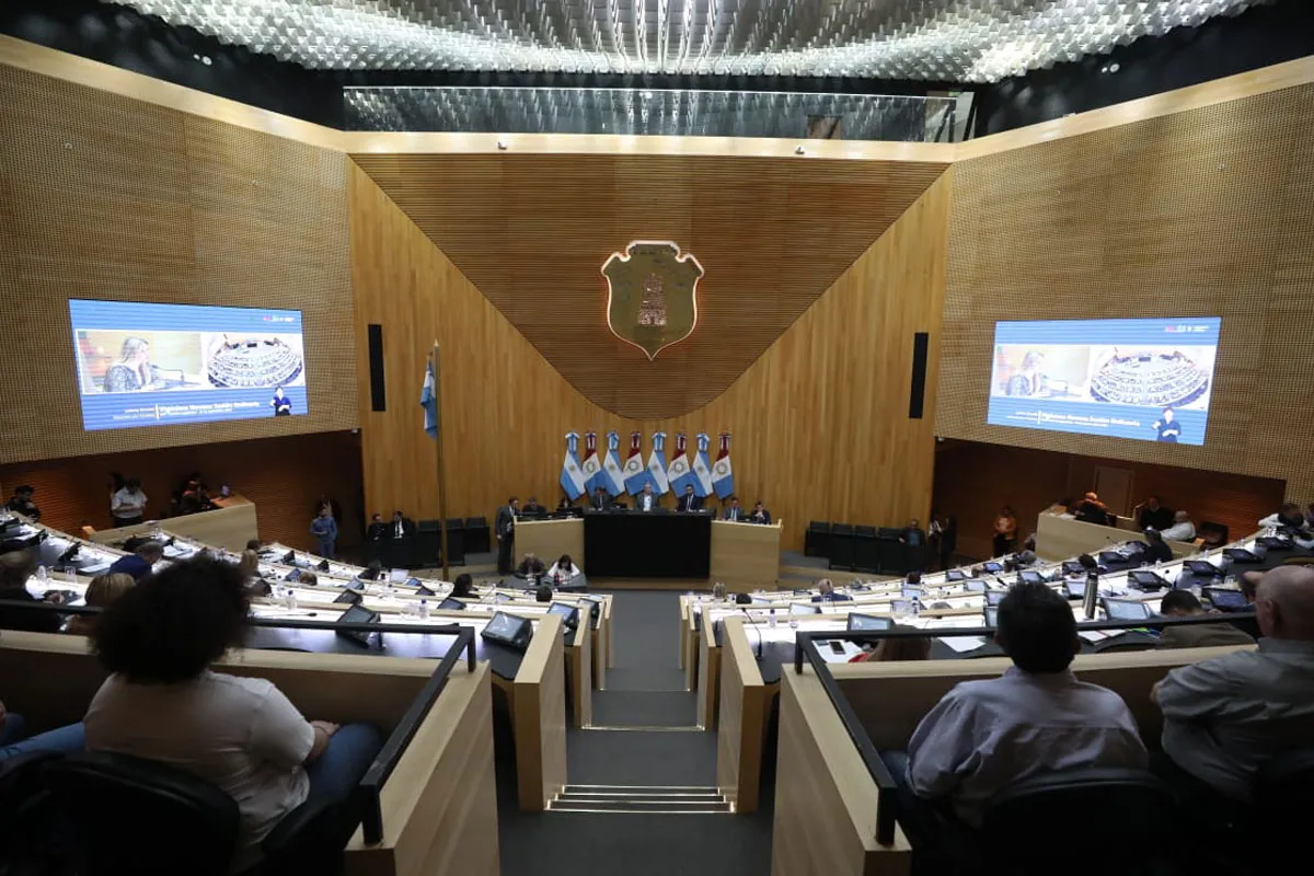 legislatura (8)