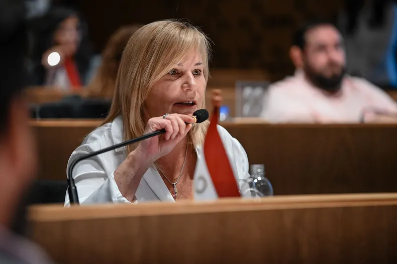 elisa-caffaratti-ucr-concejo-nuevojpg