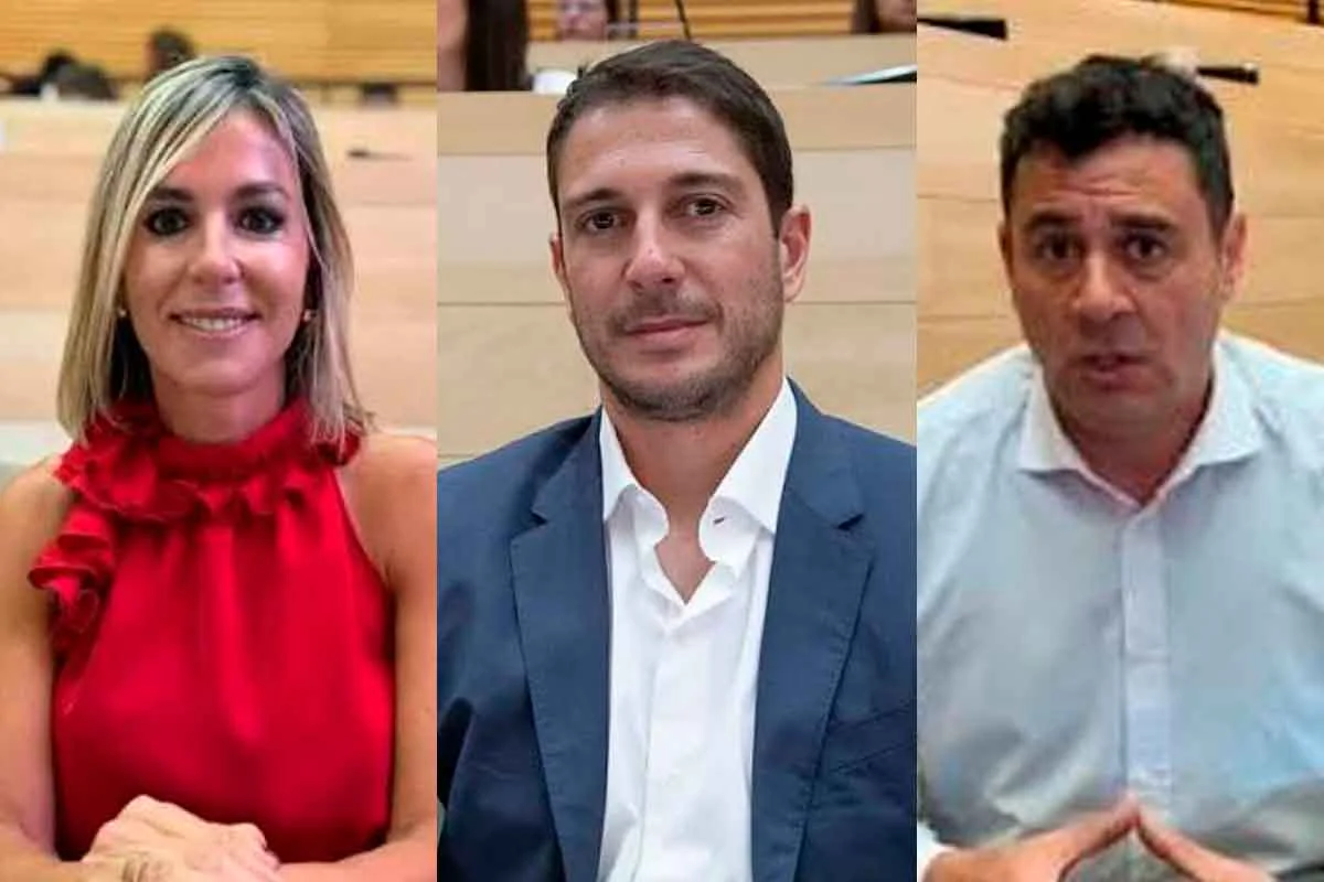 LEGISLADORES