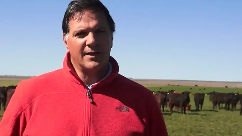 guillermo-vitelli-1946551