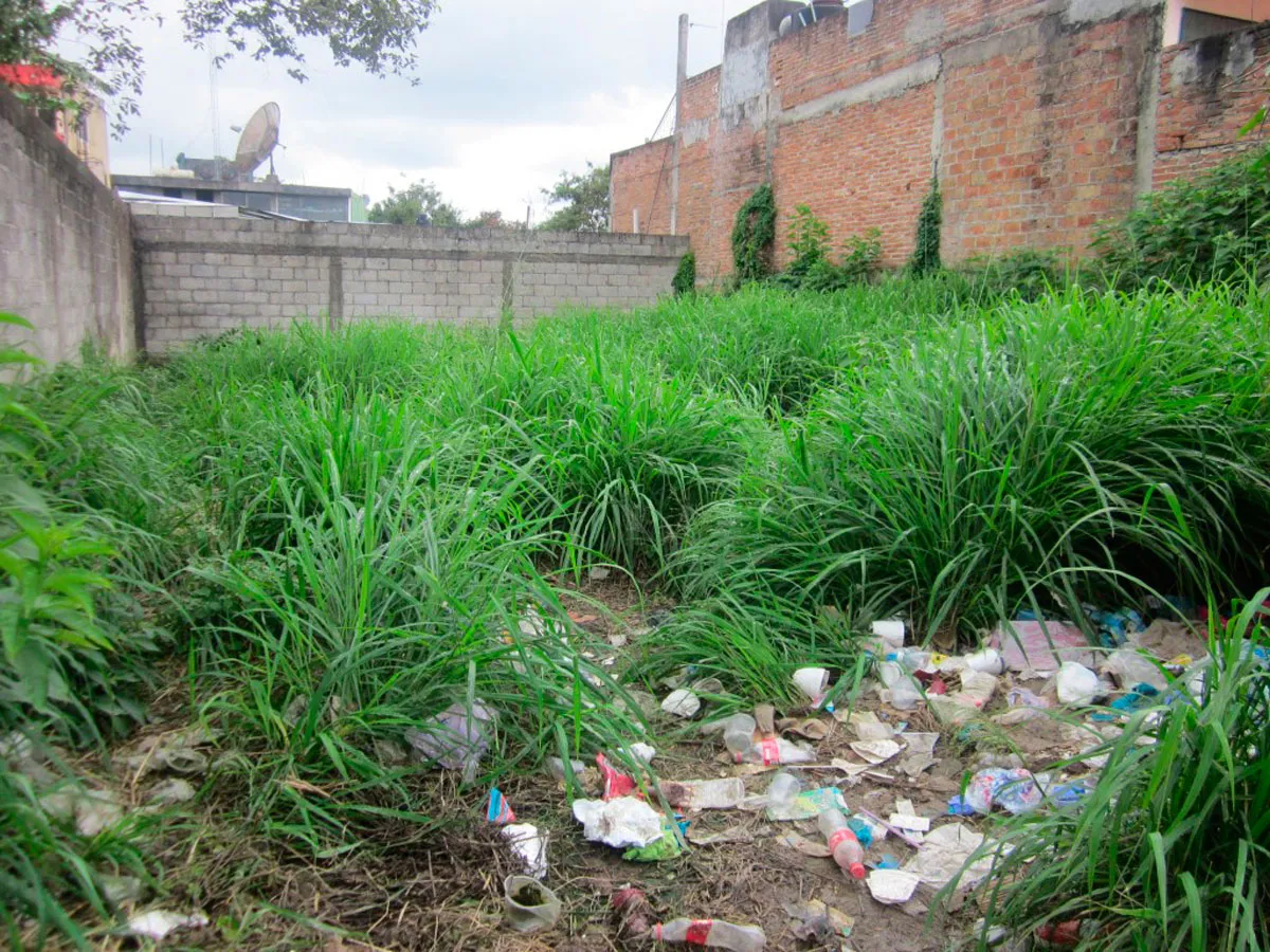 terrenos-baldíos-multas