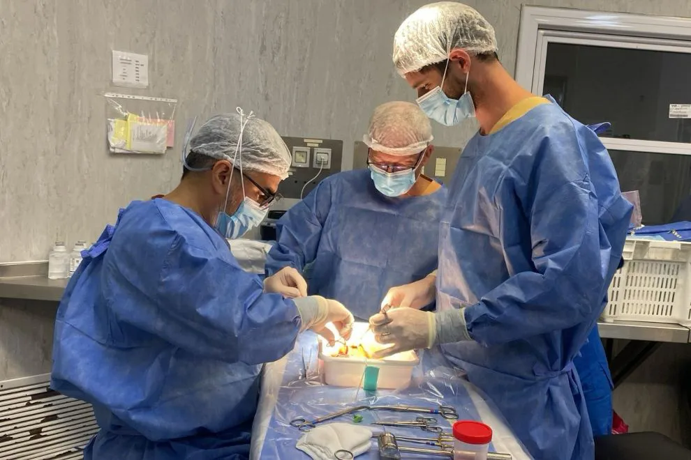 donacion-de-organos1