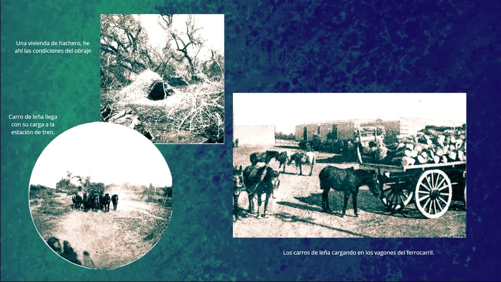 Vida en el obraje ilustración c