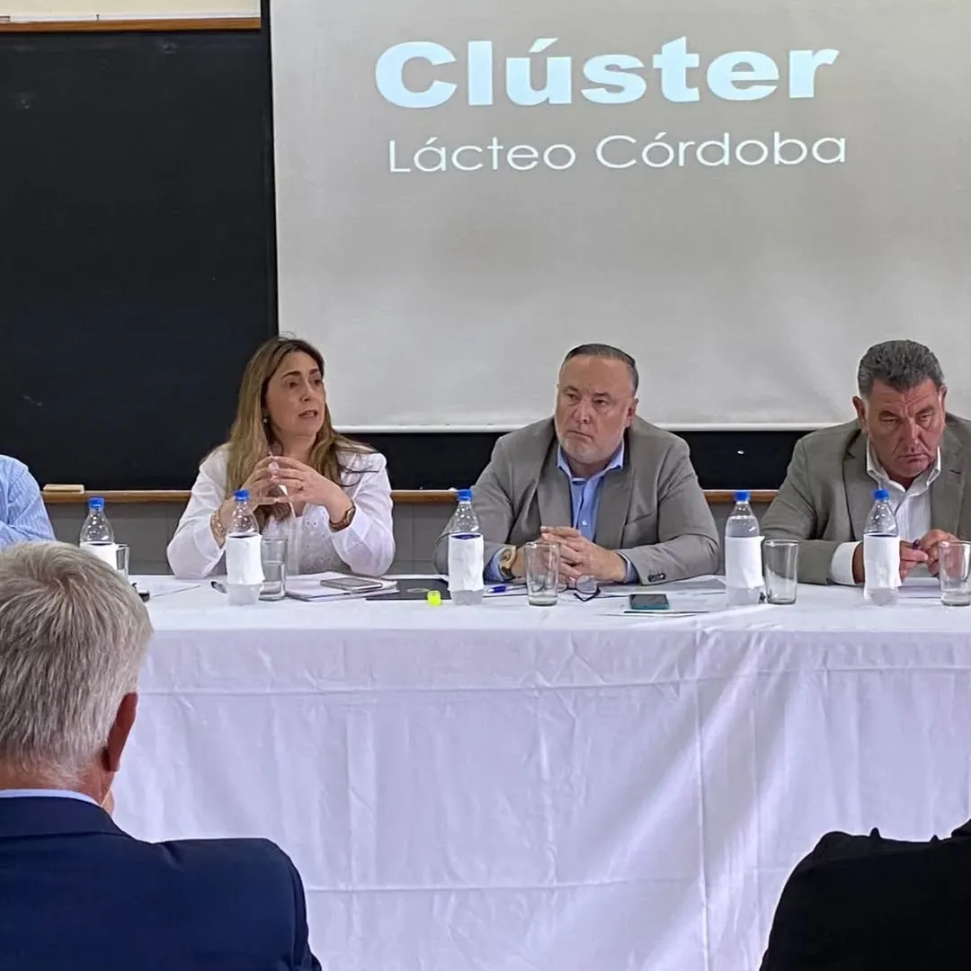 clúster lacteo