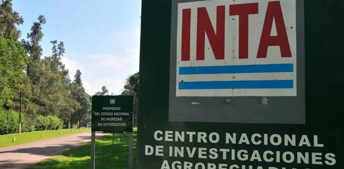 inta