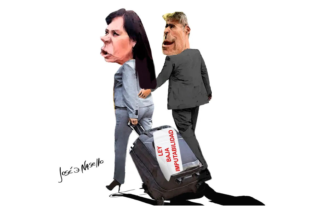 ilustra-machado-y-quinteros-ley-baja-imputabilidad